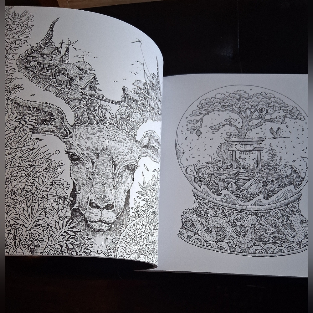 Intricate Coloring Book for Adults, with a Set Of Colored Pencils - Picture 4 of 8